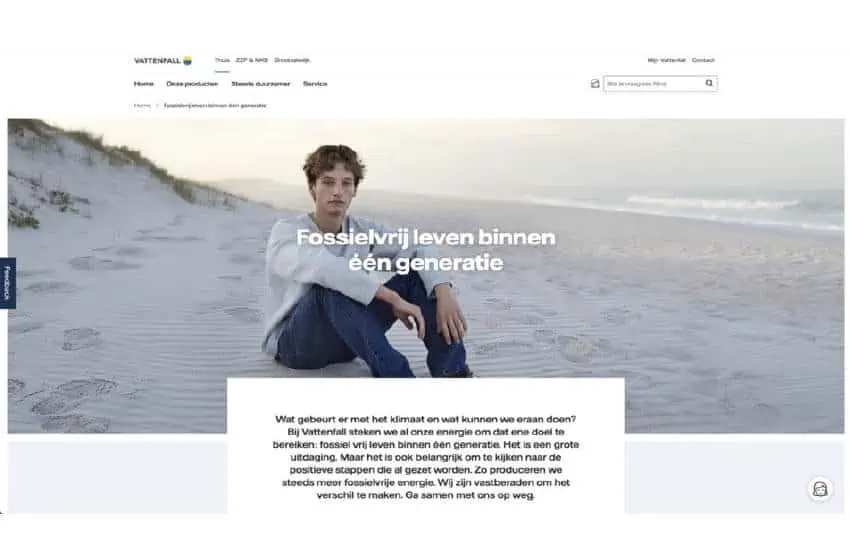 Zij communiceren de missie van merkstrategie