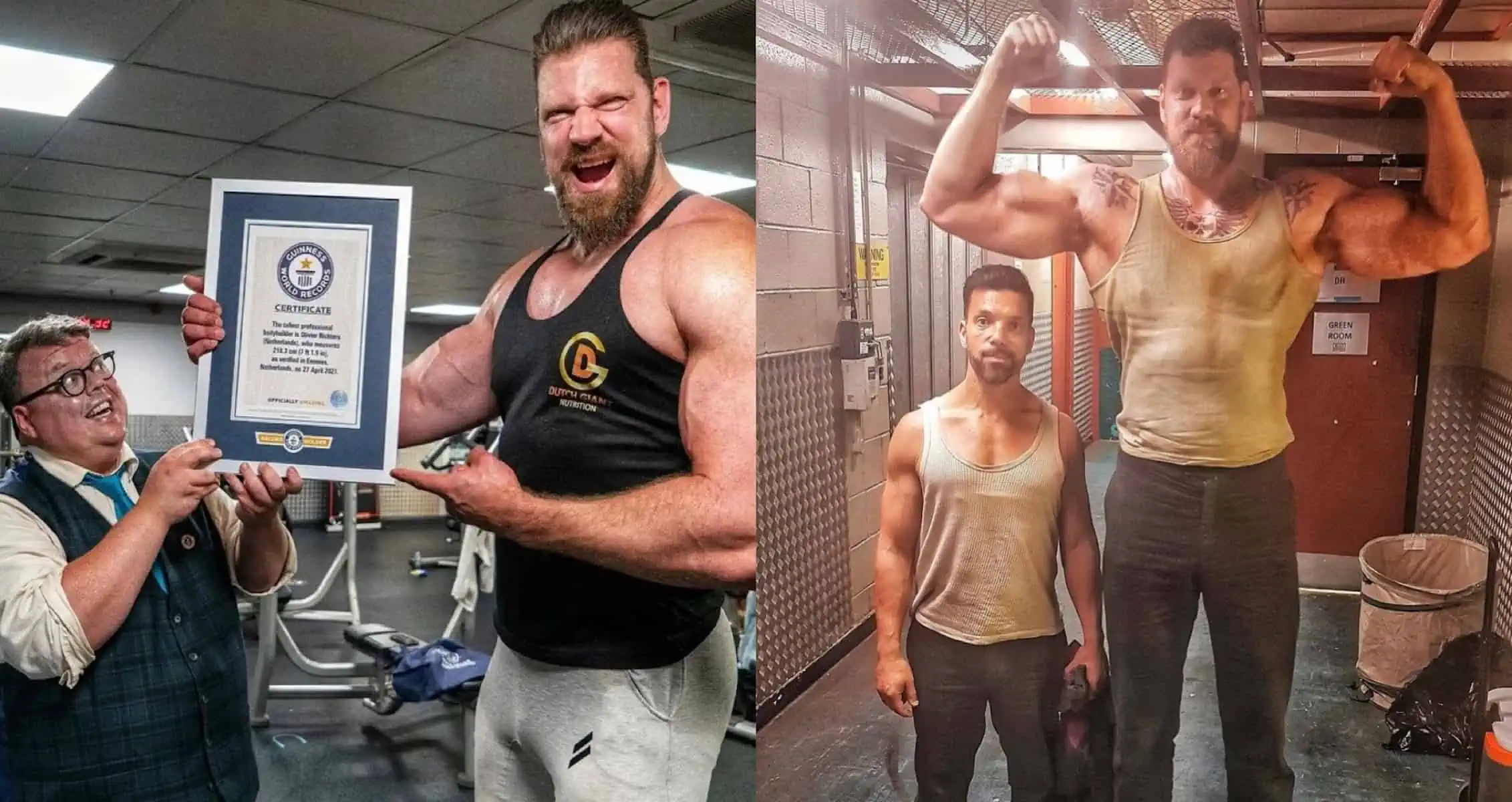 the dutch giant