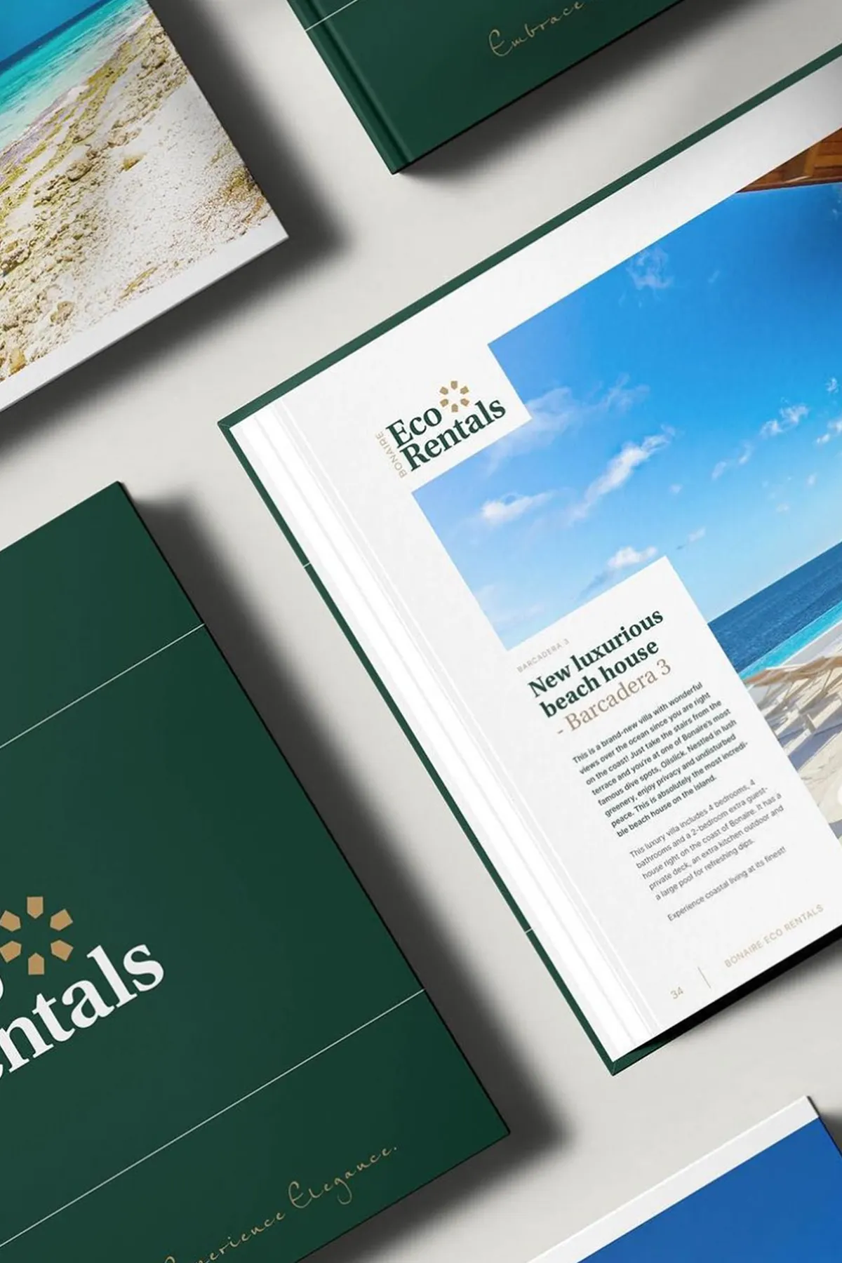 Overzicht van de brochure voor Bonaire Eco Rentals met daarin de merkidentiteit, de fotografie en de branding. Door Fitbrand.